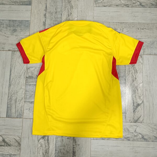 Camiseta Colombia 2025 titular - Imagen 2
