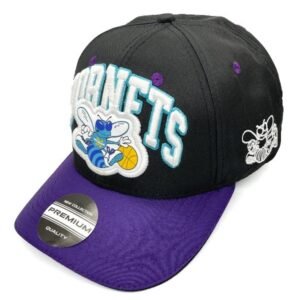 Gorra Charlotte Hornets