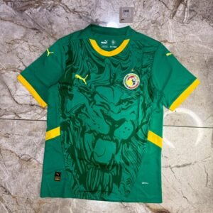 Camiseta Senegal 2025 IMP